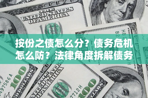 武汉按份之债怎么分？债务危机怎么防？法律角度拆解债务分配与风险自保指南