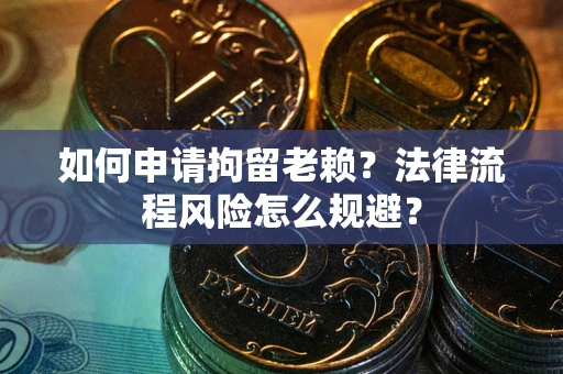 武汉如何申请拘留老赖？法律流程风险怎么规避？