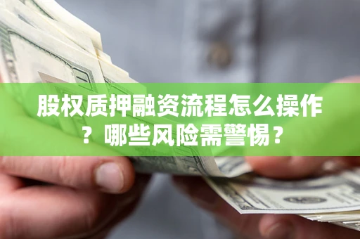 武汉股权质押融资流程怎么操作？哪些风险需警惕？