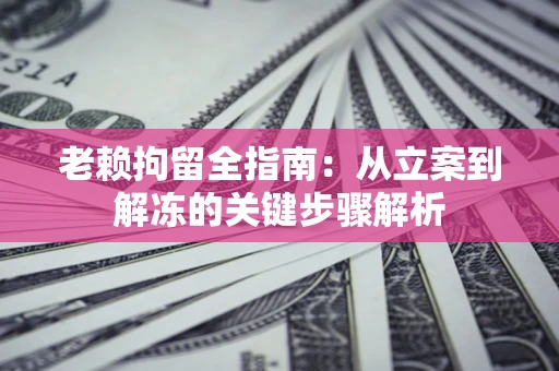 武汉老赖拘留全指南：从立案到解冻的关键步骤解析