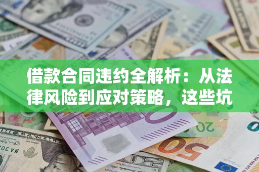 武汉借款合同违约全解析：从法律风险到应对策略，这些坑别再踩！
