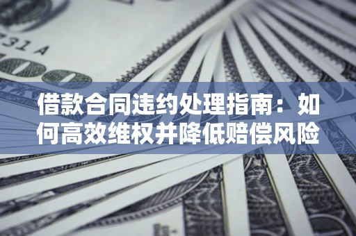 武汉借款合同违约处理指南：如何高效维权并降低赔偿风险？