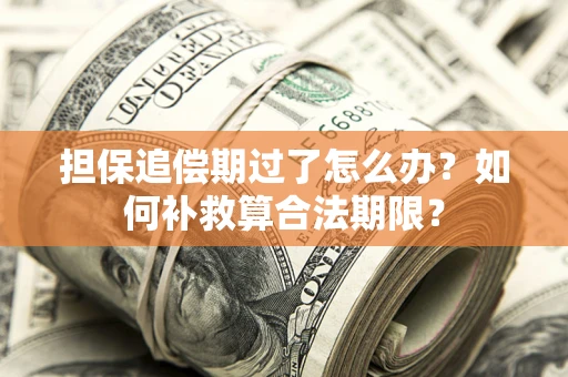 武汉担保追偿期过了怎么办？如何补救算合法期限？