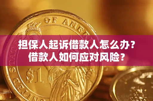 武汉担保人起诉借款人怎么办？借款人如何应对风险？