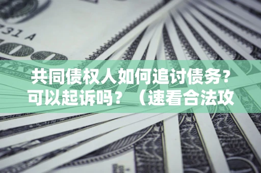 武汉共同债权人如何追讨债务？可以起诉吗？（速看合法攻略）