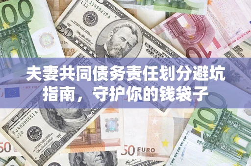 武汉夫妻共同债务责任划分避坑指南，守护你的钱袋子