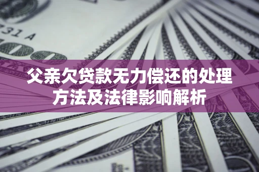 武汉父亲欠贷款无力偿还的处理方法及法律影响解析
