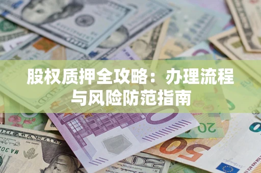 武汉股权质押全攻略：办理流程与风险防范指南