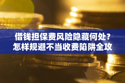 武汉借钱担保费风险隐藏何处？怎样规避不当收费陷阱全攻略！