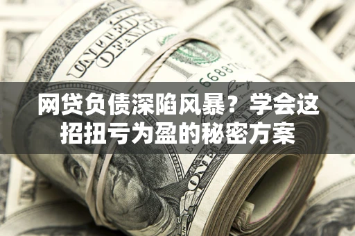 武汉网贷负债深陷风暴？学会这招扭亏为盈的秘密方案